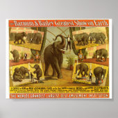 Elephants Barnum & Bailey Circus Poster (Voorkant)