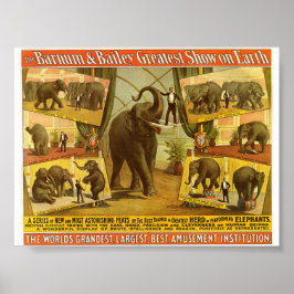 Elephants Barnum & Bailey Circus Poster