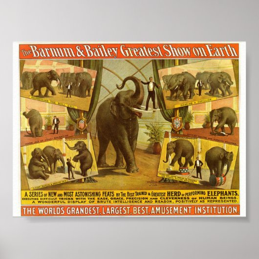 Elephants Barnum & Bailey Circus Poster (Voorkant)