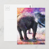 ELEPHANTS BRIEFKAART (Voorkant / Achterkant)