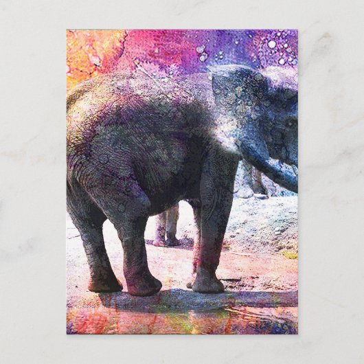 ELEPHANTS BRIEFKAART (Voorkant)