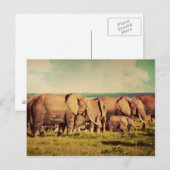Elephants-briefkaart Briefkaart (Voorkant / Achterkant)