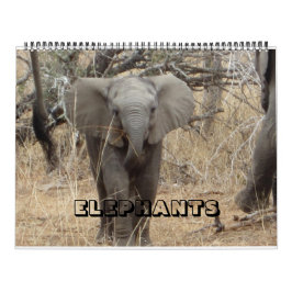 Elephants Calendar Kalender