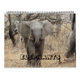 Elephants Calendar Kalender