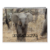 Elephants Calendar Kalender (Hoes)