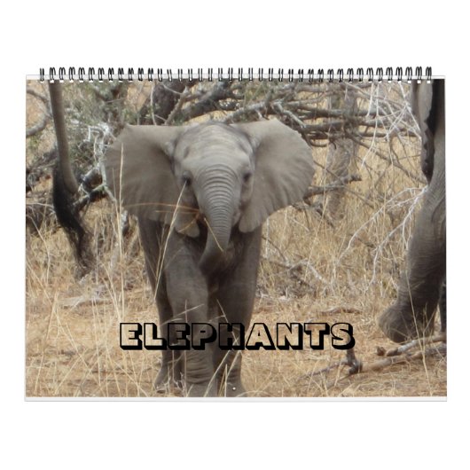 Elephants Calendar Kalender (Hoes)
