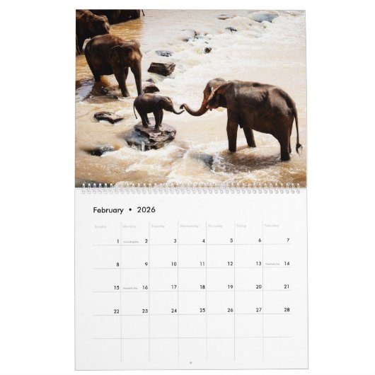 Elephants Calendar Kalender (Feb 2026)