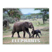 Elephants Calendar Kalender (Hoes)