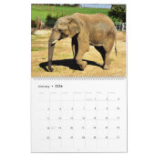 Elephants Calendar Kalender (Jan 2026)