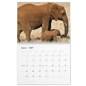 Elephants Calendar Kalender (Mar 2027)