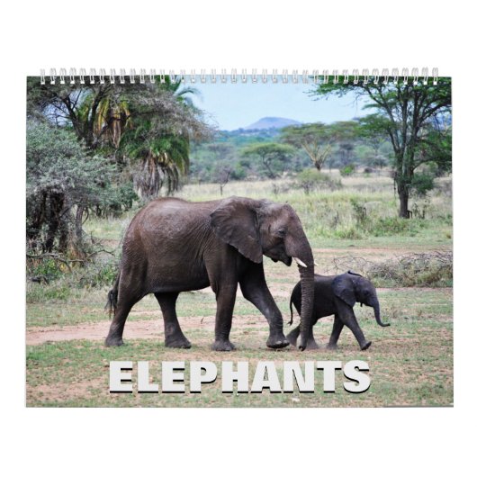 Elephants Calendar Kalender (Hoes)