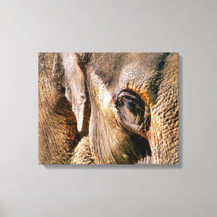 ELEPHANTS CANVAS AFDRUK