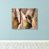 ELEPHANTS CANVAS AFDRUK (Insitu (Houten vloer))