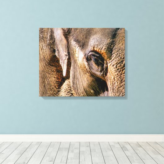 ELEPHANTS CANVAS AFDRUK (Insitu (Houten vloer))