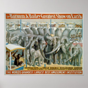 Elephants en Double Menagerie Circus Poster
