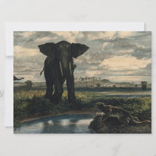 Elephants en een panter in de Indische woestijn Kaart (Voorkant)