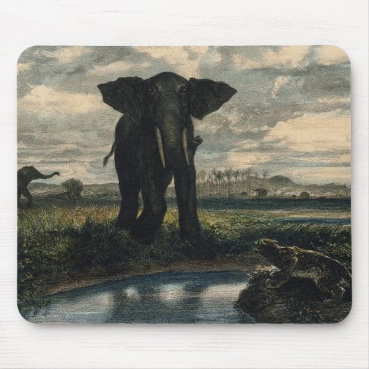 Elephants en een panter in de Indische woestijn Muismat (Voorkant)
