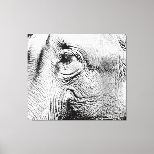 Elephants Eye, 2017 Canvas Afdruk (Voorkant)