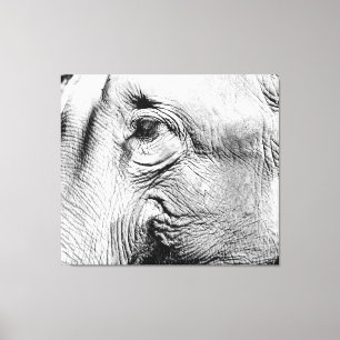 Elephants Eye, 2017 Canvas Afdruk