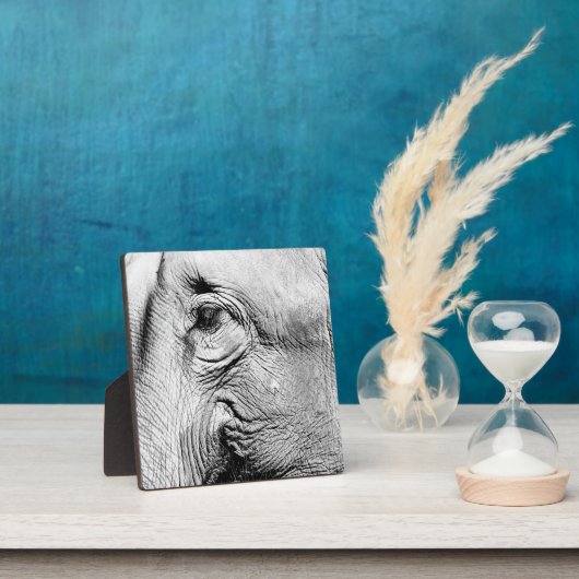 Elephants Eye, 2017 Fotoplaat (Insitu)