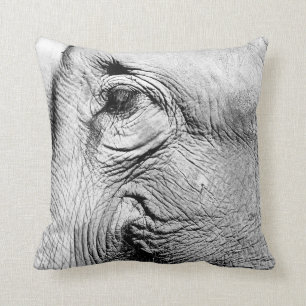 Elephants Eye, 2017 Kussen