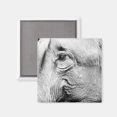 Elephants Eye, 2017 Magneet (Voorkant / Achterkant)