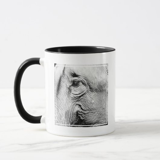 Elephants Eye, 2017 Mok (Links)
