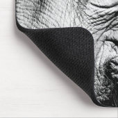 Elephants Eye, 2017 Muismat (Hoek)