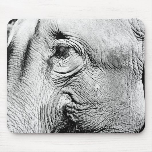 Elephants Eye, 2017 Muismat (Voorkant)