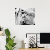 Elephants Eye, 2017 Poster (Thuiskantoor)