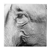 Elephants Eye, 2017 Tegeltje (Voorkant)