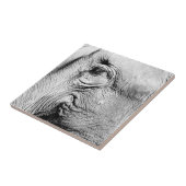 Elephants Eye, 2017 Tegeltje (Zijkant)