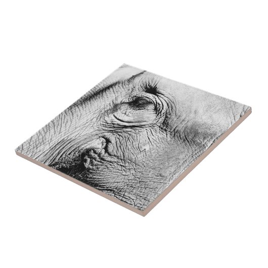 Elephants Eye, 2017 Tegeltje (Zijkant)