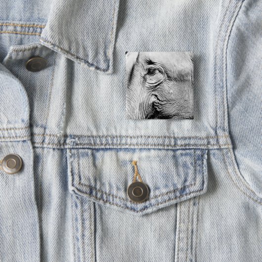 Elephants Eye, 2017 Vierkante Button 5,1 Cm (In situ)