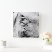 Elephants Eye, 2017 Vierkante Klok (Huis)
