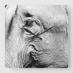 Elephants Eye, 2017 Vierkante Klok