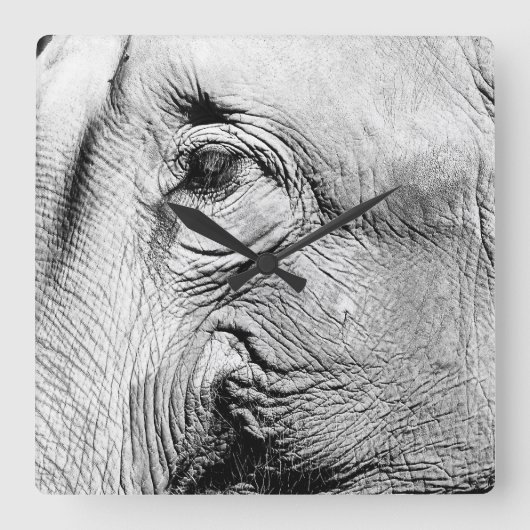 Elephants Eye, 2017 Vierkante Klok (Voorkant)