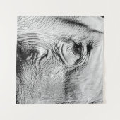 Elephants Eye, 2017 Wandkleed (Voorkant (horizontaal))