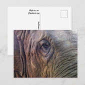 Elephants Eye Briefkaart (Voorkant / Achterkant)