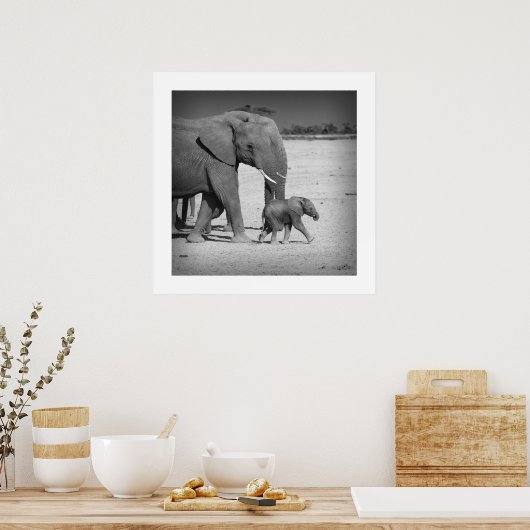 Elephants-familie Poster (Keuken)