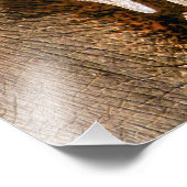 ELEPHANTS FOTO AFDRUK (Hoek)