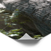 Elephant's gezicht poster (Hoek)