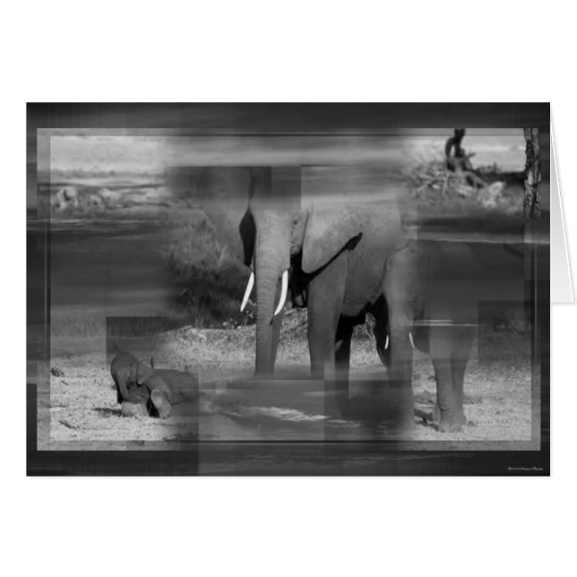 Elephants Kaart (Voorkant Horizontaal)