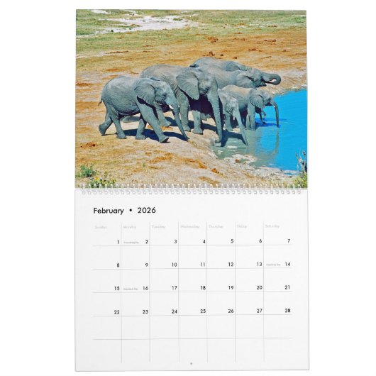 elephants kalender (Feb 2026)
