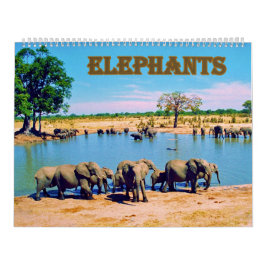 elephants  kalender