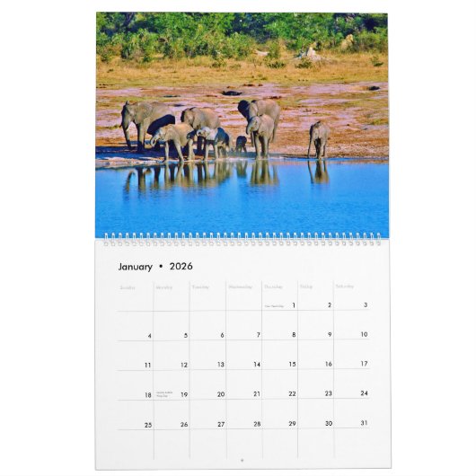 elephants  kalender (Jan 2026)