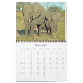 ELEPHANTS KALENDER (Mar 2027)