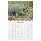 ELEPHANTS KALENDER (Feb 2027)