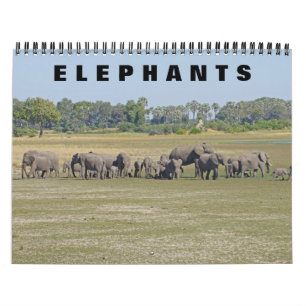 ELEPHANTS KALENDER