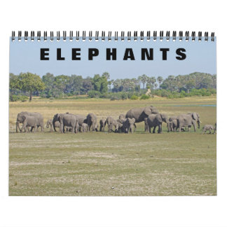 ELEPHANTS KALENDER